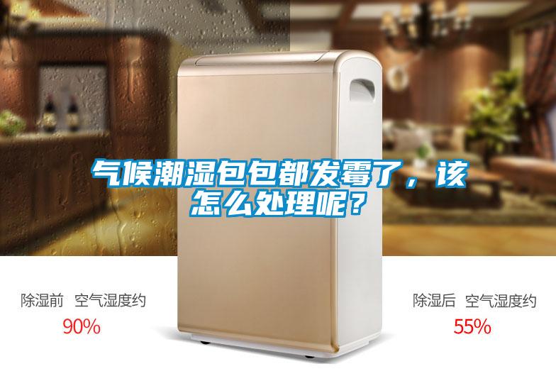 气候潮湿包包都发霉了,该怎么处理呢?
