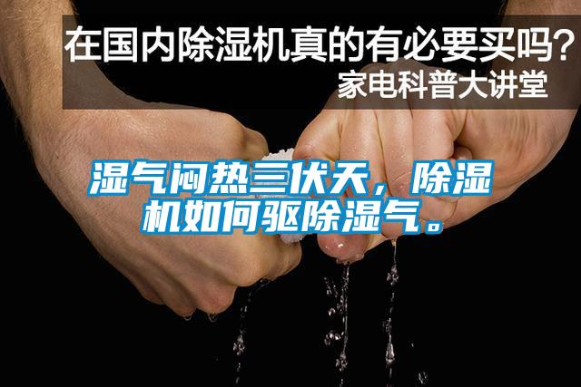 湿气闷热三伏天,除湿机如何驱除湿气。