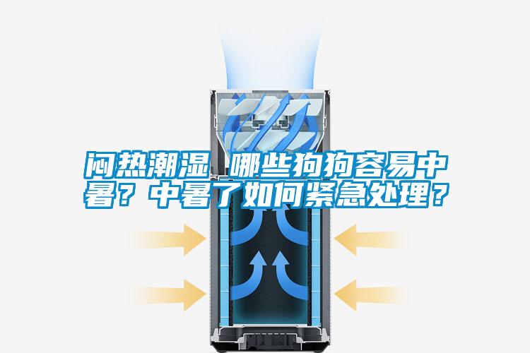 闷热潮湿 哪些狗狗容易中暑?中暑了如何紧急处理?