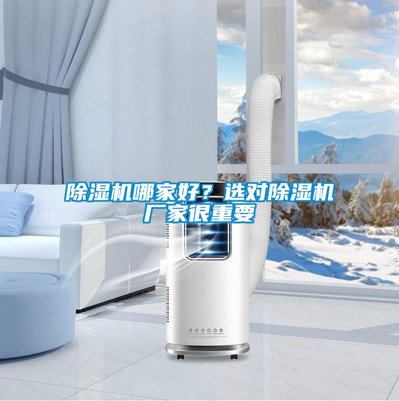 除湿机哪家好?选对除湿机厂家很重要