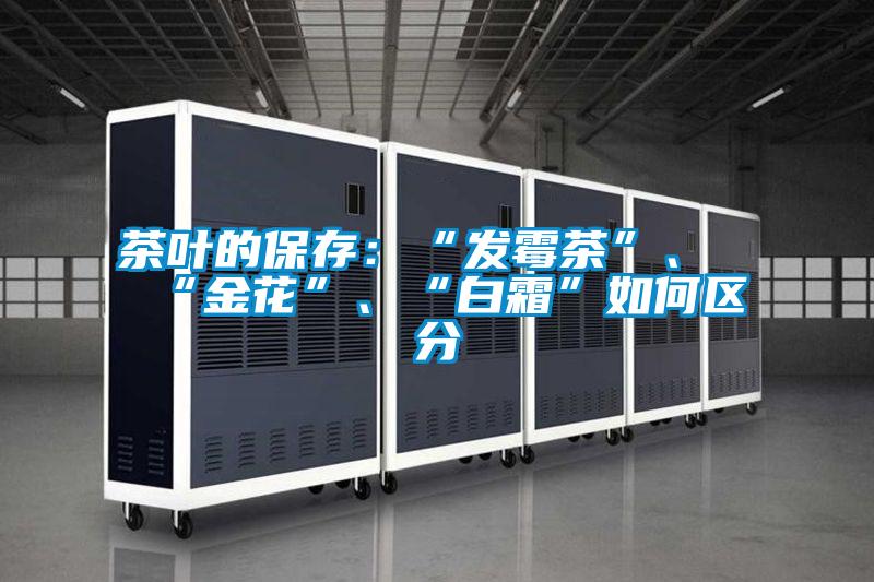 茶叶的保存:“发霉茶”、“金花”、“白霜”如何区分