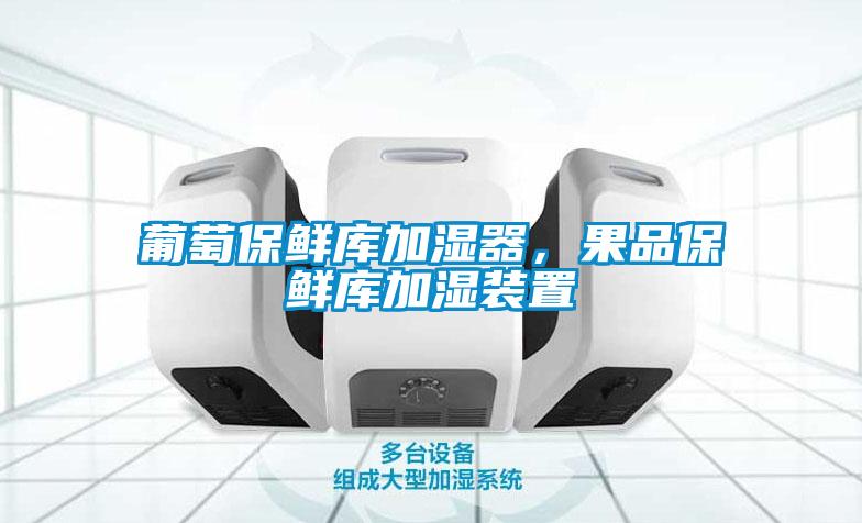 葡萄保鲜库加湿器,果品保鲜库加湿装置