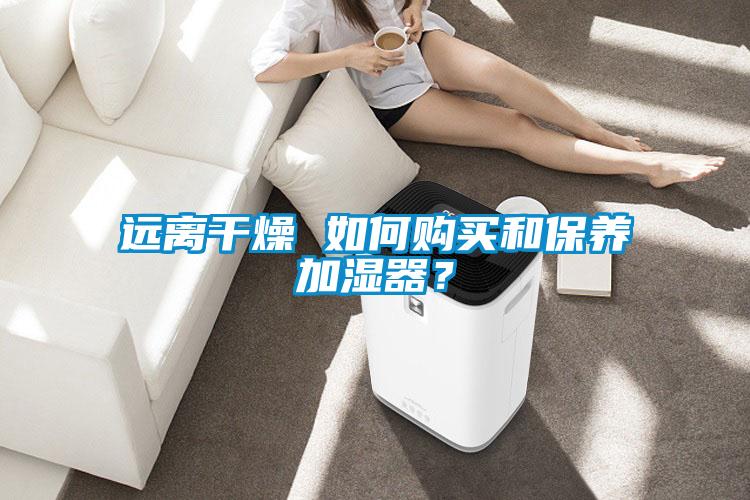 远离干燥 如何购买和保养加湿器?