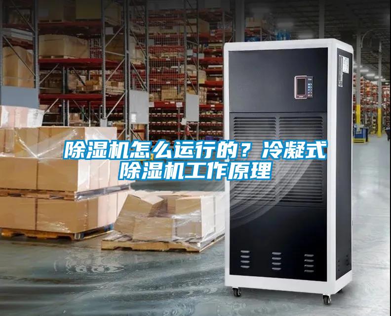 除湿机怎么运行的?冷凝式除湿机工作原理