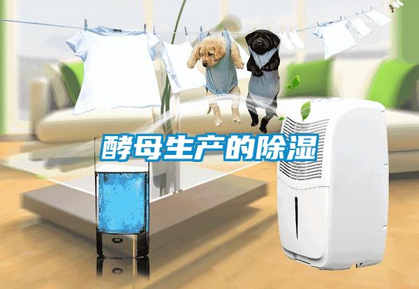 酵母生产的除湿