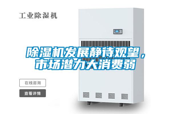 除湿机发展静待观望,市场潜力大消费弱