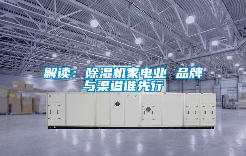 解读:除湿机家电业 品牌与渠道谁先行