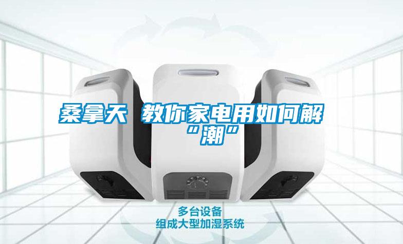 桑拿天 教你家电用如何解“潮”