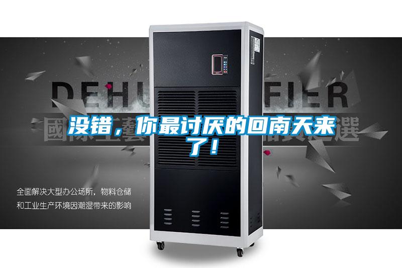 没错,你最讨厌的回南天来了!