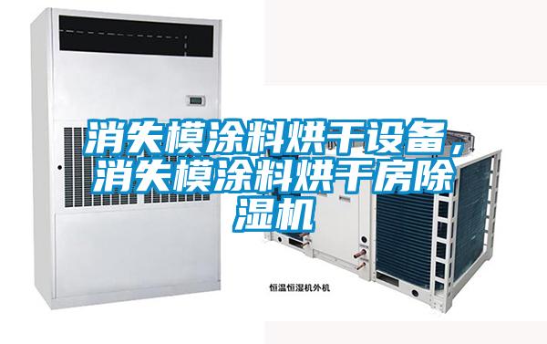 消失模涂料烘干设备,消失模涂料烘干房除湿机