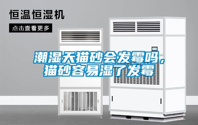 潮湿天猫砂会发霉吗,猫砂容易湿了发霉