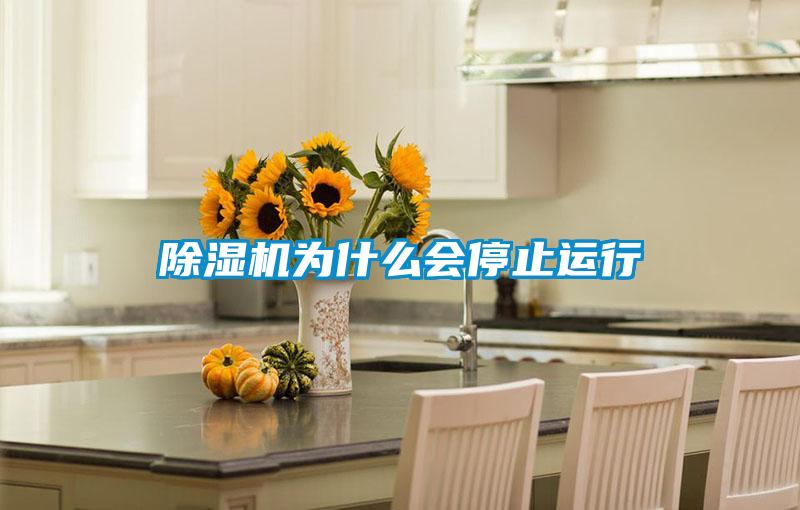 除湿机为什么会停止运行