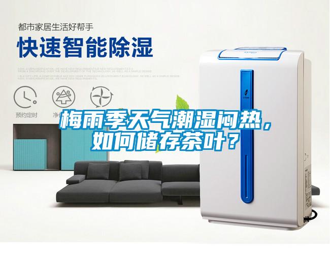 梅雨季天气潮湿闷热,如何储存茶叶?