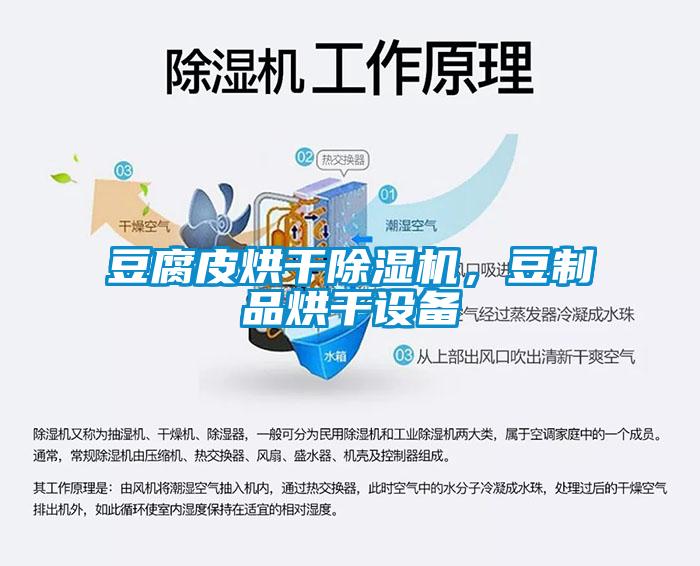 豆腐皮烘干除湿机,豆制品烘干设备