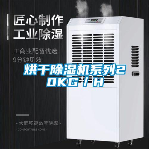烘干除湿机系列20KG/H