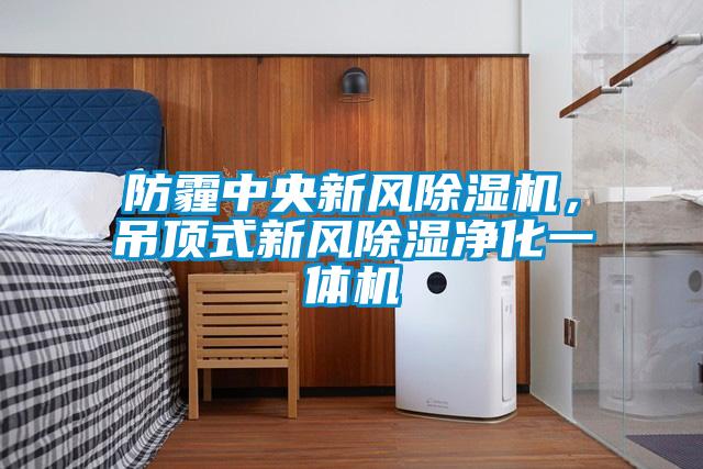 防霾中央新风除湿机,吊顶式新风除湿净化一体机