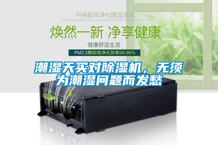 潮湿天买对除湿机,无须为潮湿问题而发愁