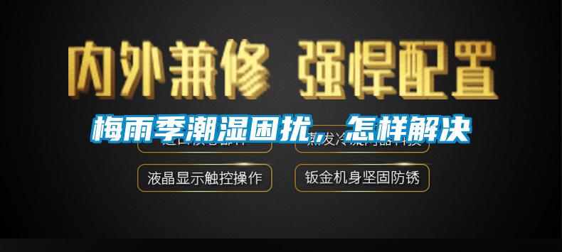 梅雨季潮湿困扰,怎样解决