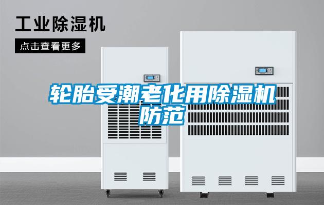 轮胎受潮老化用除湿机防范