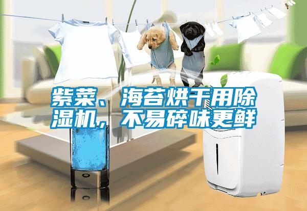 紫菜、海苔烘干用除湿机,不易碎味更鲜