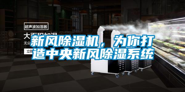 新风除湿机,为你打造中央新风除湿系统