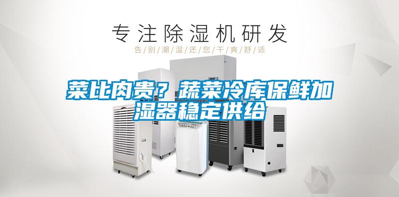 菜比肉贵?蔬菜冷库保鲜加湿器稳定供给
