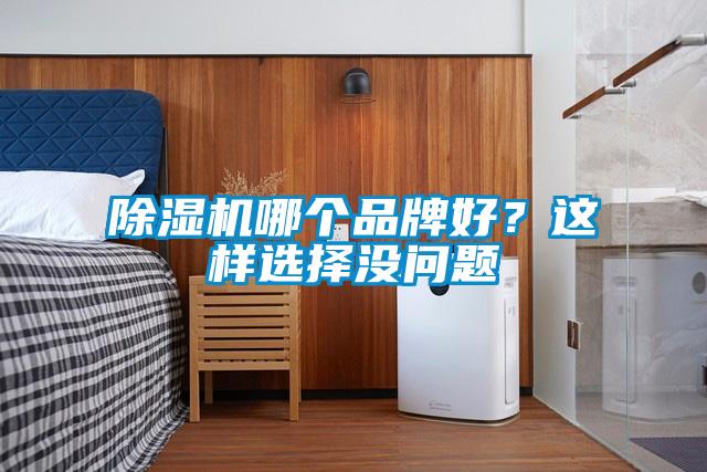 除湿机哪个品牌好?这样选择没问题