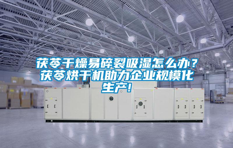 茯苓干燥易碎裂吸湿怎么办?茯苓烘干机助力企业规模化生产!