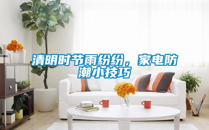 清明时节雨纷纷,家电防潮小技巧