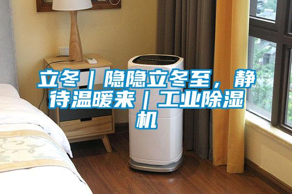 立冬|隐隐立冬至,静待温暖来|工业除湿机