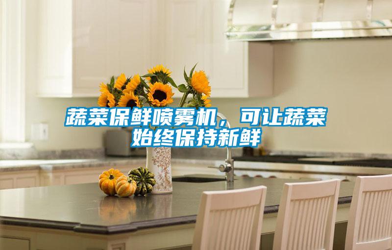 蔬菜保鲜喷雾机,可让蔬菜始终保持新鲜