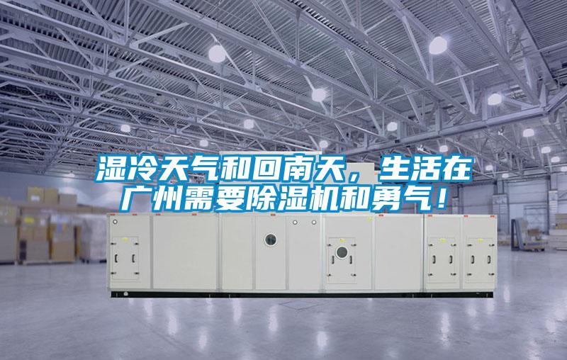 湿冷天气和回南天,生活在广州需要除湿机和勇气!