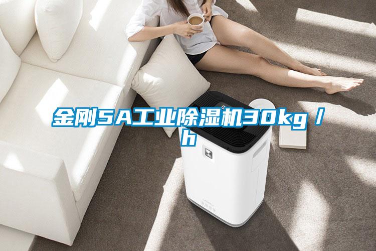 金刚5A工业除湿机30kg/h