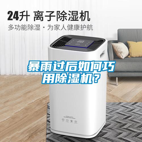 暴雨过后如何巧用除湿机?