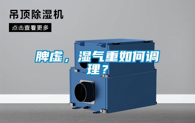 脾虚,湿气重如何调理?