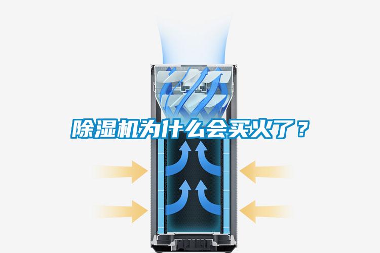除湿机为什么会买火了?