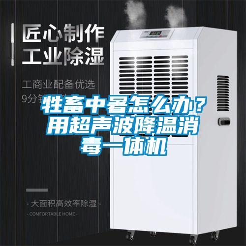 牲畜中暑怎么办?用超声波降温消毒一体机