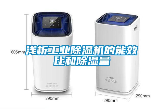 浅析工业除湿机的能效比和除湿量