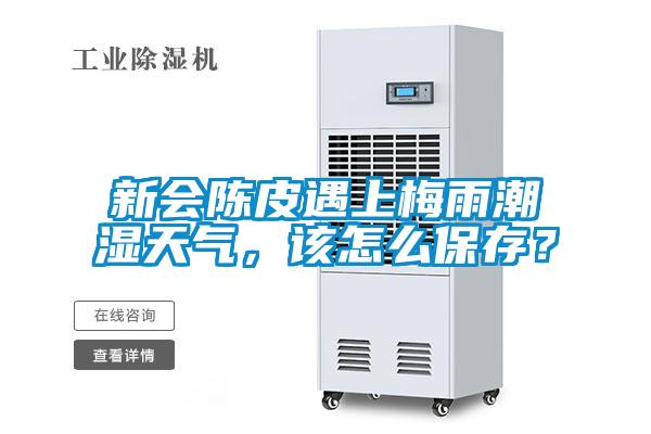 新会陈皮遇上梅雨潮湿天气,该怎么保存?