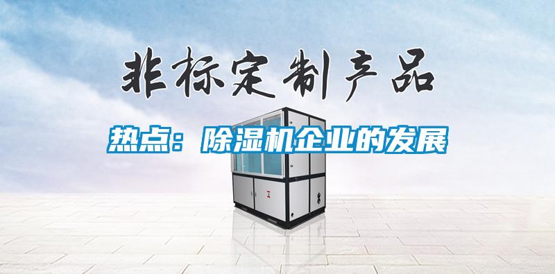 热点:除湿机企业的发展
