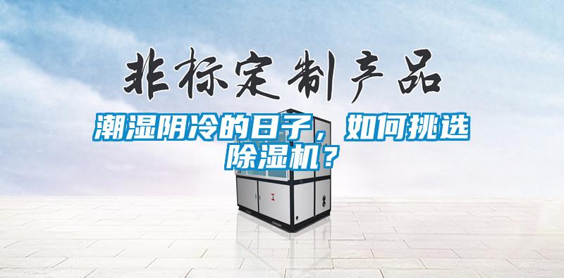 潮湿阴冷的日子,如何挑选除湿机?