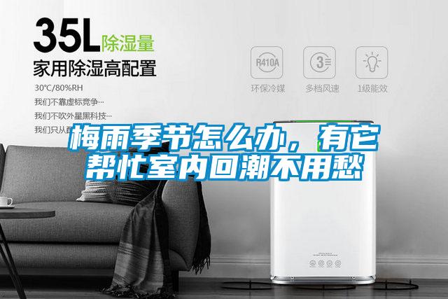 梅雨季节怎么办,有它帮忙室内回潮不用愁