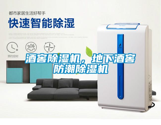 酒窖除湿机,地下酒窖防潮除湿机