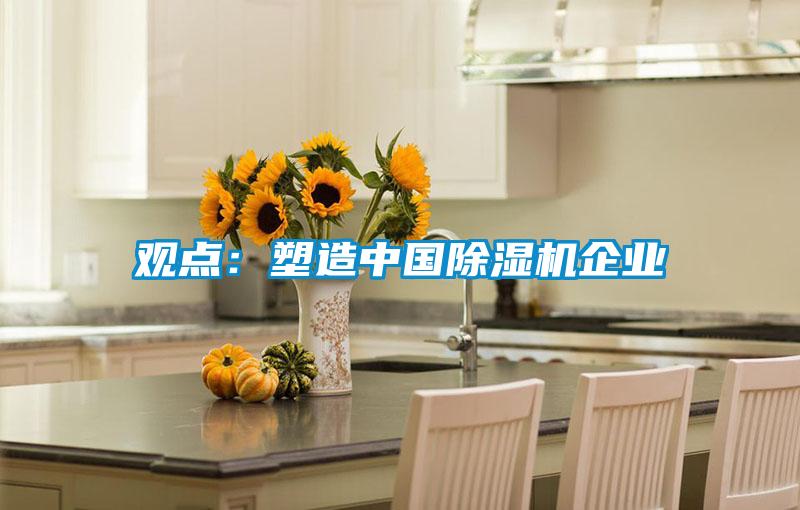 观点:塑造中国除湿机企业