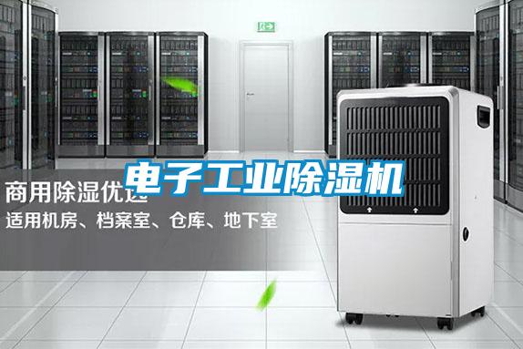 电子工业除湿机