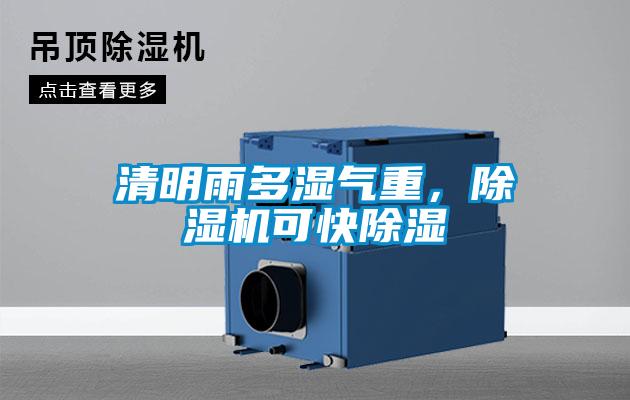 清明雨多湿气重,除湿机可快除湿