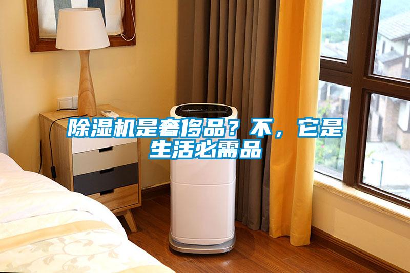 除湿机是奢侈品?不,它是生活必需品