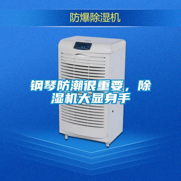 钢琴防潮很重要,除湿机大显身手