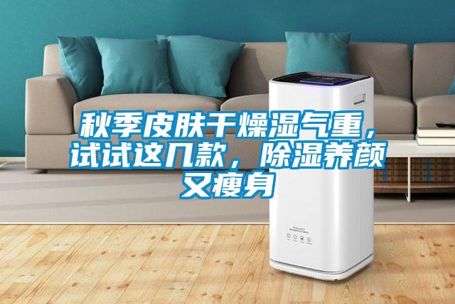 秋季皮肤干燥湿气重,试试这几款,除湿养颜又瘦身