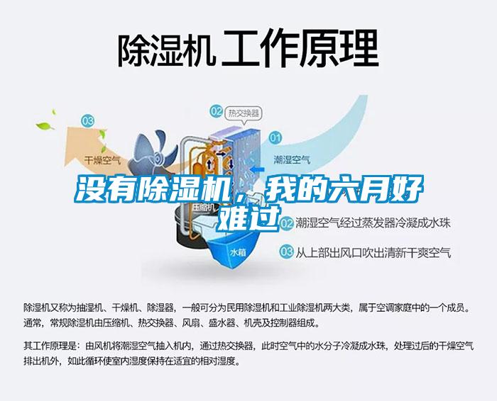 没有除湿机,我的六月好难过